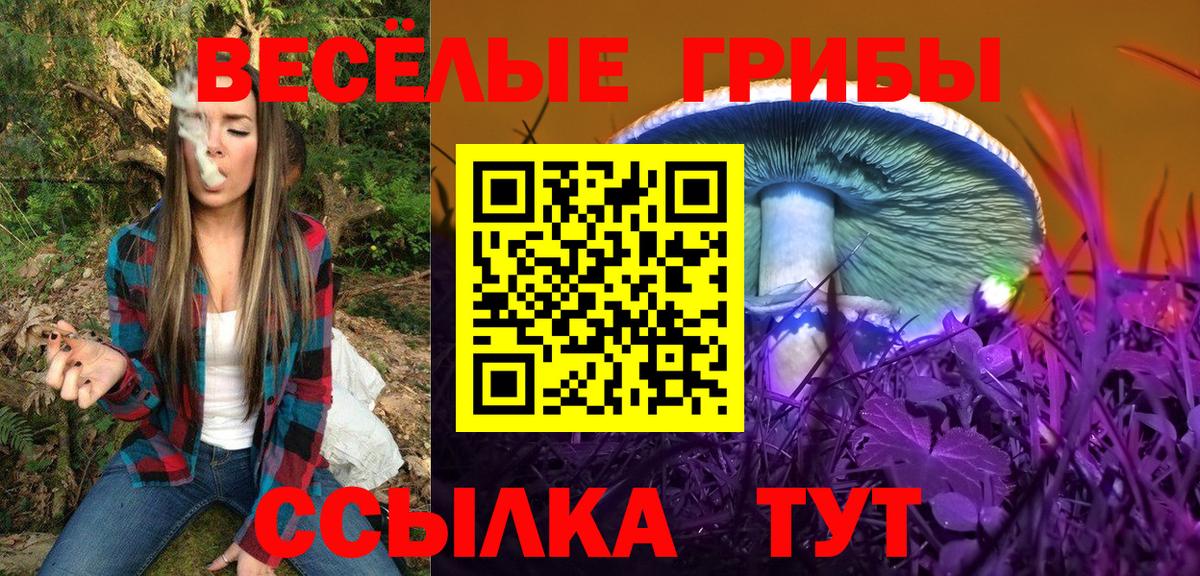 Галлюциногенные грибы GOLDEN TEACHER Всеволожск