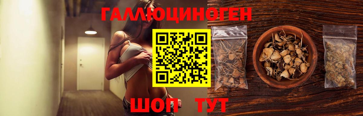 Всеволожск  Псилоцибиновые грибы ЛСД  Псилоцибиновые грибы GOLDEN TEACHER  Вход с VPN 