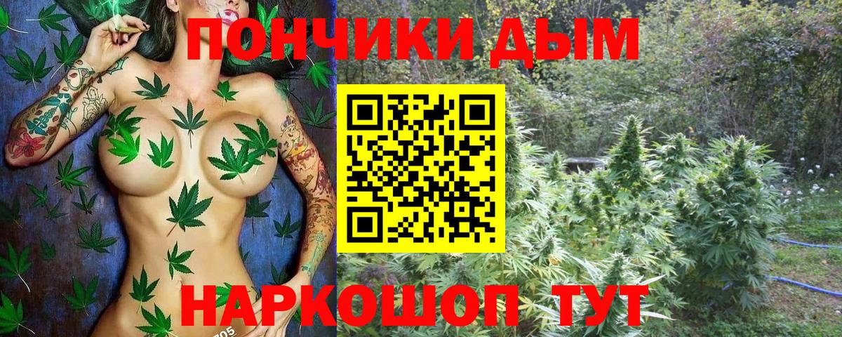 Каннабис White Widow  Вход с VPN  Каннабис марихуана  Шишки марихуана VHQ  Всеволожск 